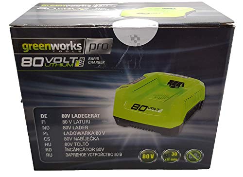 GreenWorks 80 V Akku-Ladegerät für Haushalt, Schwarz, Grün – Akku-Ladegeräte (Sektor, 4,2 A, 0,75 H, 1,25 H, 1,6 kg, Schwarz, Grün) von Greenworks