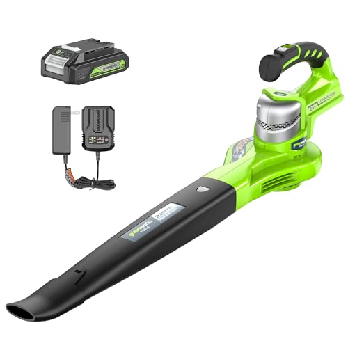 Greenworks 24V Akku-Laubbläser mit 2Ah Akku und Ladegerät, 140/200 km/h Zwei Geschwindigkeiten Akku-Gebläse Greenworks 24V Akku-Laubbläser mit 2Ah Akku und Ladegerät, 140/200 km/h Zwei Geschwindigkeiten Akku-Gebläse von Greenworks