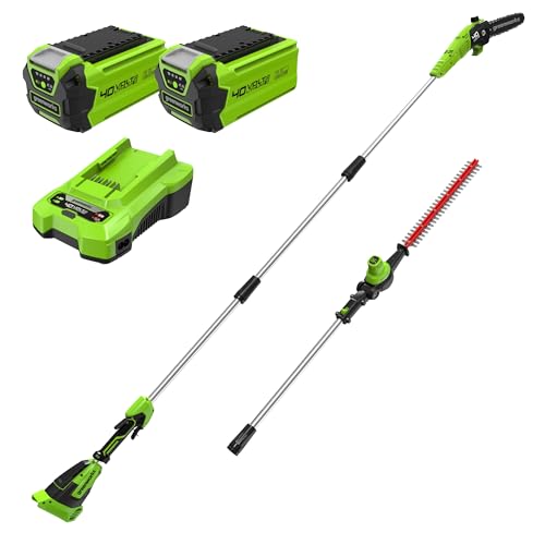 Greenworks 40V Akku-2-in-1-Stangensäge und Stangenheckenschere, bürstenlose Motor-Stangensäge 30 cm Stange, Trimmer 51 cm Dual Action Klingen, MIT Akku*2 und Ladegerät GD40PSHK2x Greenworks 40V Akku-2-in-1-Stangensäge und Stangenheckenschere, bürstenlose Motor-Stangensäge 30 cm Stange, Trimmer 51 cm Dual Action Klingen, MIT Akku*2 und Ladegerät GD40PSHK2x von Greenworks