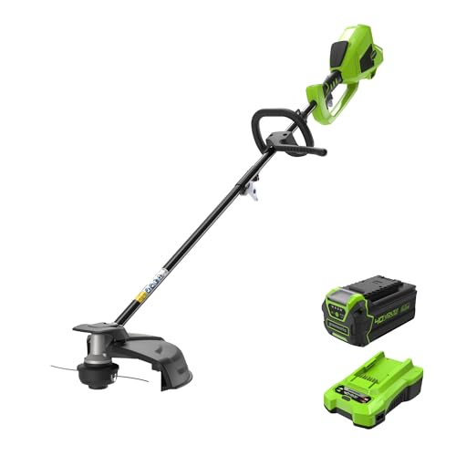 40V Akku-Freischneider Greenworks mit bürstenlosem Motor GD40BC, Sicherheitsgurt, verstellbare Höhe, 40cm Schnittbreite, 2mm Nylonschnur oder 25cm Klinge und 40V 4Ah Akku & 2A Universal-Ladegerät 40V Akku-Freischneider Greenworks mit bürstenlosem Motor GD40BC, Sicherheitsgurt, verstellbare Höhe, 40cm Schnittbreite, 2mm Nylonschnur oder 25cm Klinge und 40V 4Ah Akku & 2A Universal-Ladegerät von Greenworks