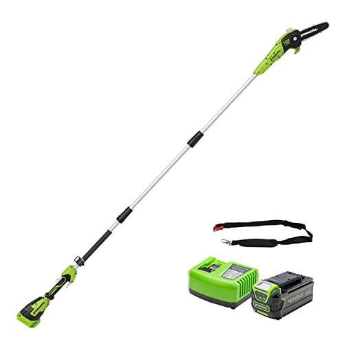 Greenworks Akku-Hochentaster G40PSF+Li-Ion 40V 4Ah wiederaufladbarer leistungsstarker Akku+passend für alle Geräte und Akkus der 40V Greenworks Tools Serie von Greenworks