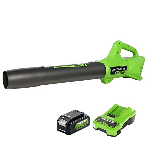 Greenworks Axial Akku Laubbläser (Li-Ion 24V 531m³/h Luftgeschwindigkeit，531m³/h Luftvolumen leistungsstarker Axiallüfter mit elektronischer Drehzahlregelung mit 4Ah Akku und Ladegerät) von Greenworks