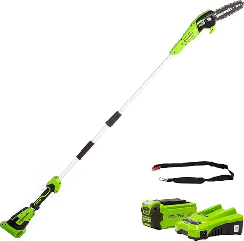 Greenworks G40PSFK2 Akku Hochentaster,20 cm Blattlänge, 8 m/s Kettengeschwindigkeit, 3,64 kg, automatisches Öl-System, 80 ml Öltank, 2.58m Stangenreichweite, 40V 2Ah Akku & Ladegerät, 3 Jahre Garantie von Greenworks