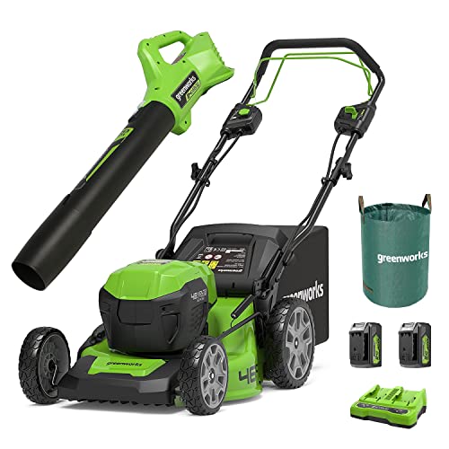 Greenworks GD24X2LM46SPK4X Selbstfahrender Akku Rasenmäher für große Flächen bis zu 480m², G24ABII Axial Laubbläser 145 km/h, 120l Gartenabfallsack,Plus Zwei 4Ah-Akkus und Doppelladegerät von Greenworks