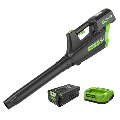 Greenworks Pro 80 V Axial-Gebläse, bürstenloser Motor, Luftgeschwindigkeit 210 km/h, Luftvolumen 850 m³/h, Gewicht 2,5 kg (mit 4Ah Akku und Ladegerät) von Greenworks