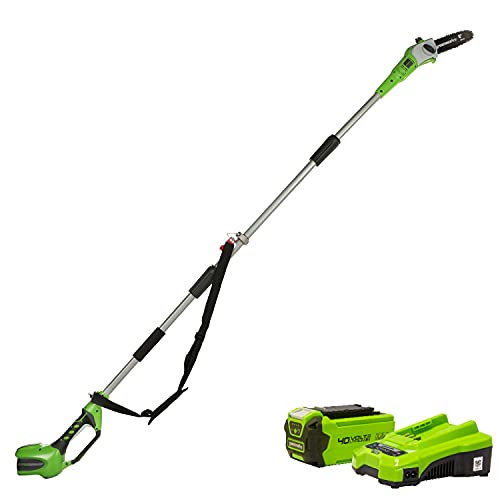 Greenworks Tools Akku-Hochentaster (Li-Ion 40V 20cm Schwertlänge 8 m/s Kettengeschwindigkeit Teleskop-Alustange 3-teilig inklusive 2 Ah Akku und Ladegerät), 20157UA, Grün von Greenworks