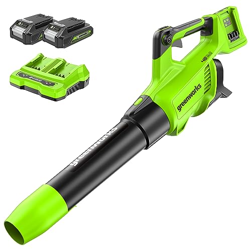 Greenworks Tools Axial Akku Laubbläser 48V(2 x 24V) Laubgebläse mit Turbo Buton (max. Windgeschwindigkeit 225 km/h) inklusive 2 2Ah Lithium Akkus und Ladegerät von Greenworks