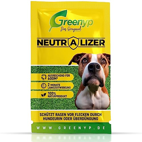 Greenyp Neutralizer - schützt Rasen vor Hundeurin Flecken I Urin neutralisieren dank Effektive Mikroorganismen I 100% organischer Dünger Bodenaktivator für Rasen I 3x Beutel mit 12g für je 600m2 Greenyp Neutralizer - schützt Rasen vor Hundeurin Flecken I Urin neutralisieren dank Effektive Mikroorganismen I 100% organischer Dünger Bodenaktivator für Rasen I 3x Beutel mit 12g für je 600m2 von Greenyp Das Original