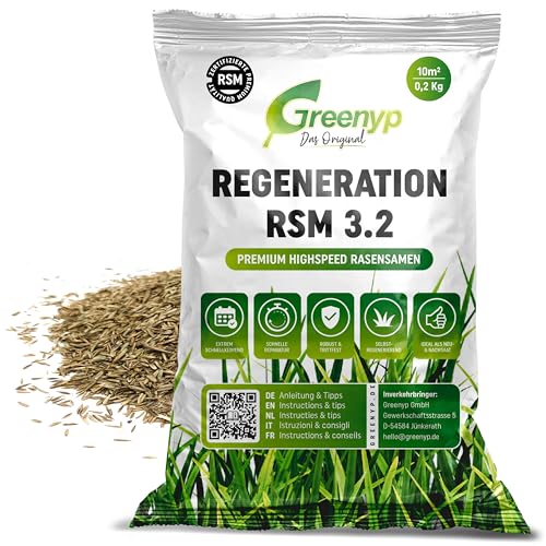 Greenyp Turbo Nachsaat RSM 3.2 I Rasensamen schnellkeimend Frühjahr I 0,2kg für 10m² I Ideal gegen Lücken als Neu- & Nachsaat I 100% RSM Rasensamen I Grassamen Rasensaat Gras Reparaturrasen Greenyp Turbo Nachsaat RSM 3.2 I Rasensamen schnellkeimend Frühjahr I 0,2kg für 10m² I Ideal gegen Lücken als Neu- & Nachsaat I 100% RSM Rasensamen I Grassamen Rasensaat Gras Reparaturrasen von Greenyp Das Original