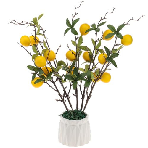 Gresorth Gelb Mini Zitrone Lebensecht Künstliche Dekoration mit Blätter Gefälschte Obst Zweigstelle Simulation DIY Kranz Garten Weihnachten Modell 5 Stück Gresorth Gelb Mini Zitrone Lebensecht Künstliche Dekoration mit Blätter Gefälschte Obst Zweigstelle Simulation DIY Kranz Garten Weihnachten Modell 5 Stück von Gresorth