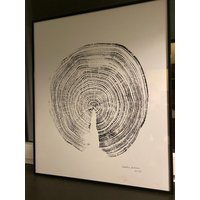 stammabdruck Von Einer Fichte Als Wanddeko von GrevenArt