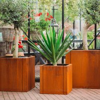 Grillsymbol Corten Stahl Pflanzgefäße 3Er Set Große Clara von Grillsymbol