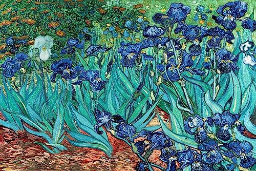 Laminiertes Van Gogh Les Iris Maxi-Poster von Grindstore
