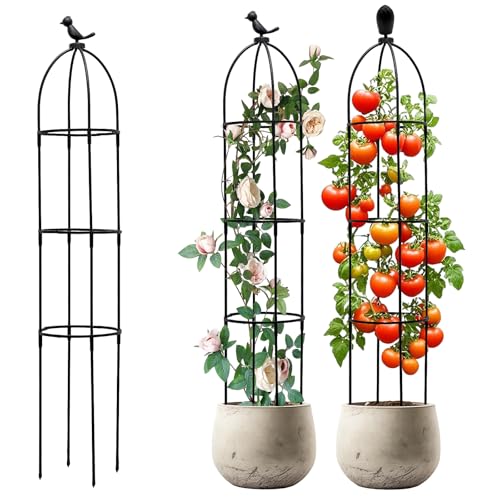 Griwuut Garten Rankhilfe 120 cm Obelisk Rankhilfe Abnehmbar,Pflanzenstütze Obelisk Rankgitter,Höhe Rankgitter Käfige,Geeignet für alle Kletterpflanzen von Griwuut
