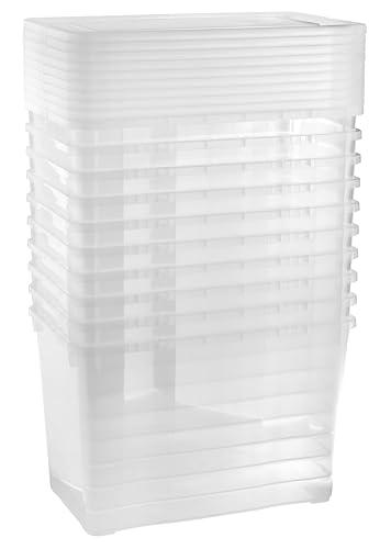 Grizzly Aufbewahrungsboxen 10 x 10 L small hoch mit Deckel transparent - Klarsichtboxen stapelbar mit Belüftung von Grizzly