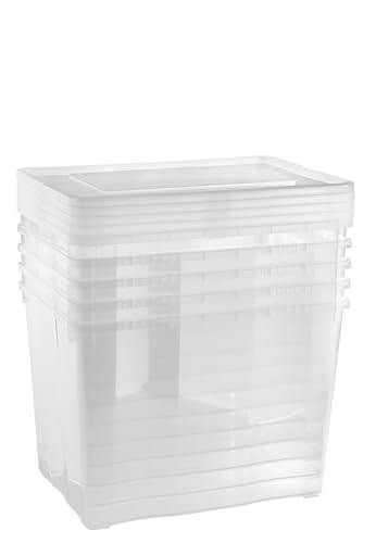 Grizzly Aufbewahrungsboxen 5 x 20 L medium hoch mit Deckel transparent - Klarsichtboxen stapelbar mit Belüftung von Grizzly