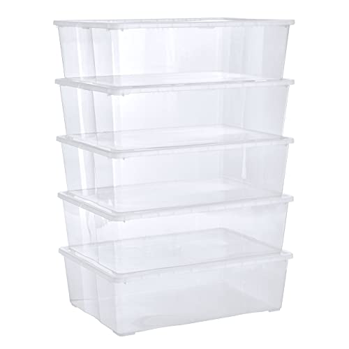 Grizzly Aufbewahrungsboxen 5 x 25 L large mit Deckel transparent - Klarsichtboxen stapelbar mit Belüftung von Grizzly