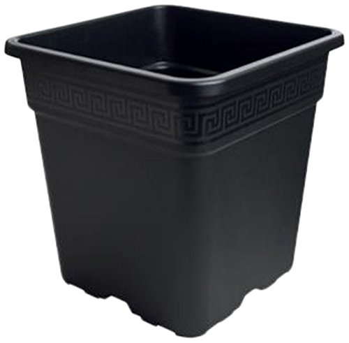 Gro Pro Quadratischer Topf 1 Gallon schwarz von Gro Pro