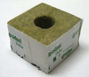 Grodan Delta 6,5, Kulturblock, 10 x 10 x 6,5 cm, großes Loch 40/35 von Grodan