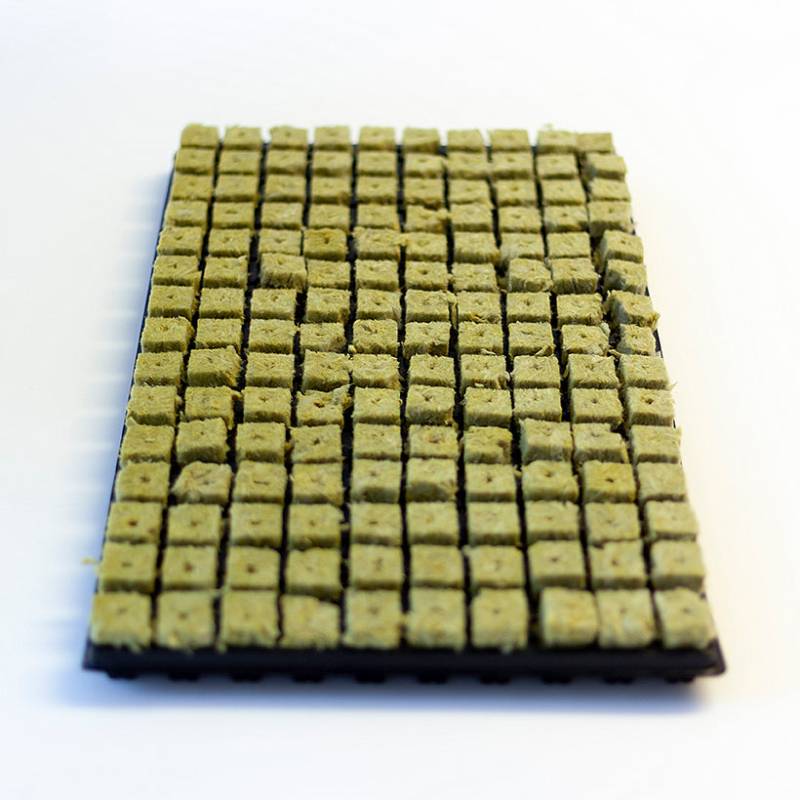 Grodan Keile in Tray 150/2,5 von Grodan