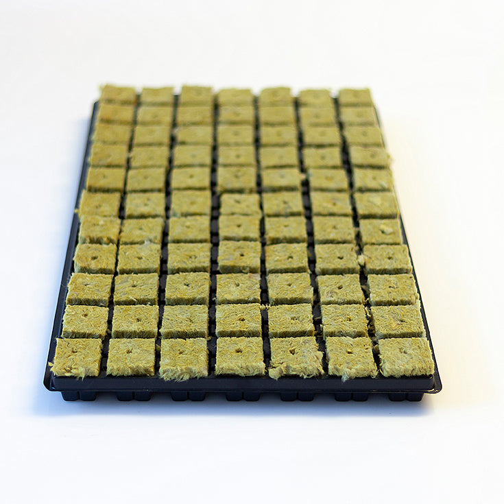 Grodan Keile in Tray  77/3,6 von Grodan