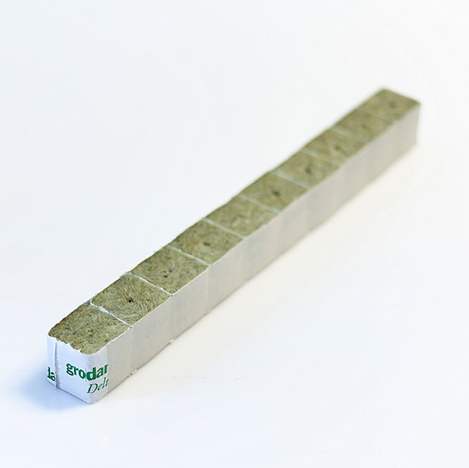 Grodan Startblock 4 x 4 cm von Grodan