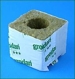 Grodan Delta 4, Kulturblock, 7,5 x 7,5 x 6,5 cm, großes Loch 40/35 Grodan Delta 4, Kulturblock, 7,5 x 7,5 x 6,5 cm, großes Loch 40/35 von Grodan