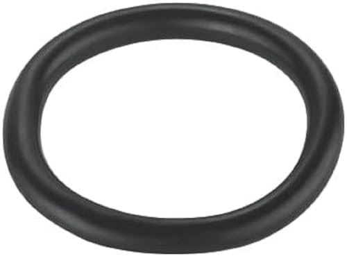 GROHE O-Ring 28 mm x 4 mm (Original Ersatzteil, Langlebig, Robust, Herstellergarantie: 5 Jahre), 43878000 von Grohe