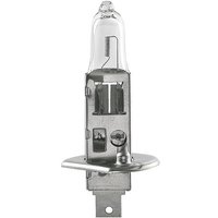 Grothe DSZ 7382 Signalgeber Leuchtmittel Passend für Serie (Signaltechnik) Grothe DSL 730x von Grothe