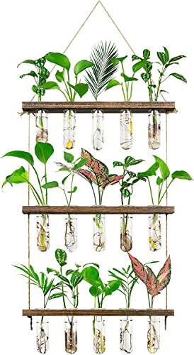 Grovind 3 Stufen große Blumenvasen Wand hängende Pflanze Vase mit hölzernen Stand, Glas Pflanzer Reagenzglas für hydroponische Pflanzen Home Office Patio Decor von Grovind