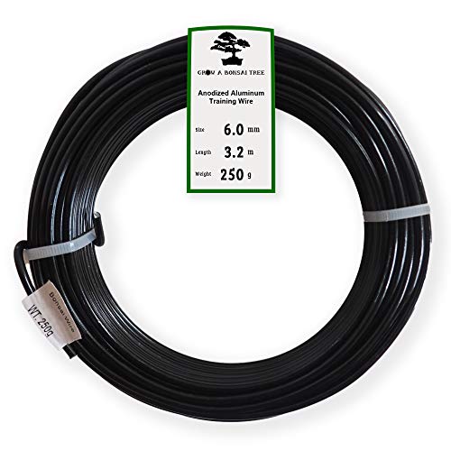 Grow A Bonsai Tree Eloxiertes Aluminium Bonsai Draht 250g Einzelrollen (6.0mm, Schwarz) von Grow A Bonsai Tree