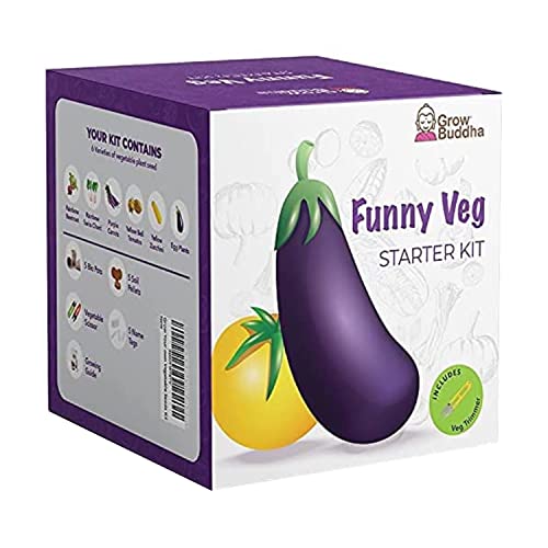 Eigenes Saatgutset züchten - Einfach eigene Pflanzen züchten mit unseren einsteigerfreundlichen Anzuchtsets - Samen-Set - Geschenkset, einzigartige Geschenkidee (5 Gemüse-Set) von Grow Buddha