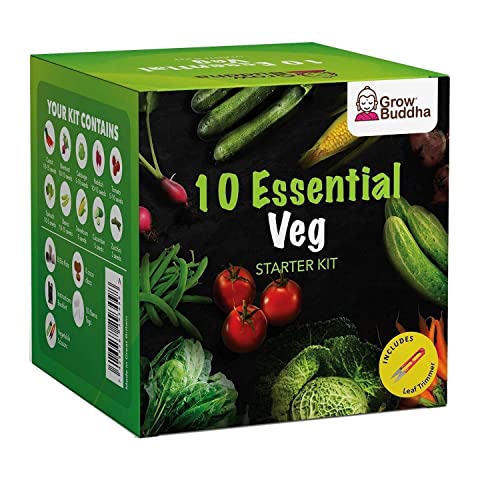 Gemüsesamen-Kit - Züchten Sie ganz einfach 10 Sorten Ihres eigenen Gemüses - Veg Seeds by Grow Buddha | Einzigartige Geschenkidee von Grow Buddha