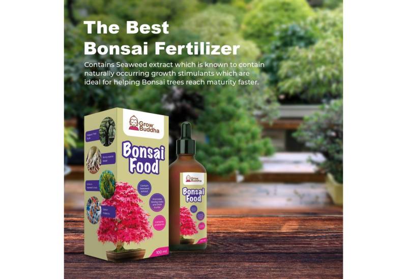 Grow Buddha Blumenerde Bonsai-Nahrung, 100ml, (1-St) von Grow Buddha