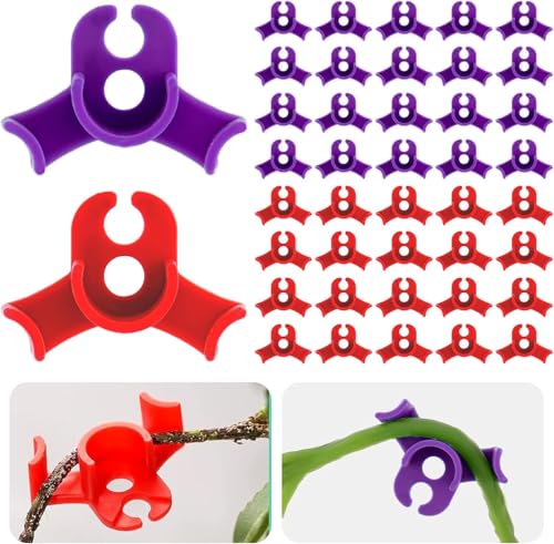 40 Stück Pflanzenbieger Winkel Grow LST Clips für Low Stress Training – 90 Grad Pflanzentrainer & Pflanzenstütze für effizientes Biegen – Gleichmäßigeres Wachstum und höhere Erträge (40 Stück) von Grow Expert