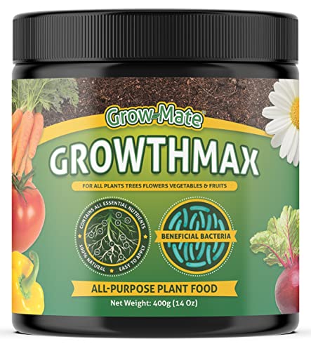 GrowthMax dünger – 4-in-1-Premium grünpflanzendünger für zimmerpflanzenu – Ergibt 80 Liter (behandelt mehr als 100 Pflanzen) - einfach zu verwenden, geruchsfrei, kinder- und haustiersicher (400 g) von Grow Mate