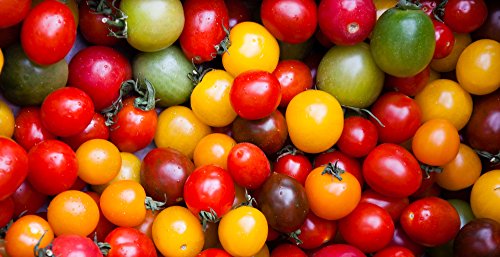 Kirschtomaten 20 Samen Mix, Cherry-Tomate - klein, aromatisch und süß (Tomato Rainbow) von Grow Your Secret Garden