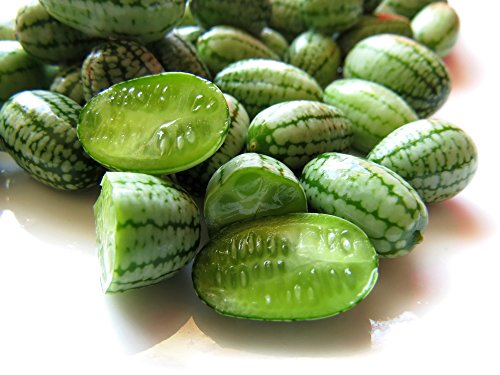 Mini-Melone 10 Samen -Melothria scabra, Mexikanische Mini-Gurke (Cucamelon) von Grow Your Secret Garden
