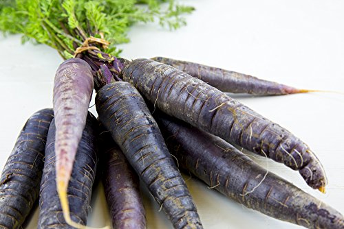 Möhre Karotte - 'Purple Haze' 50 Samen von Grow Your Secret Garden