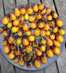 Tomate 'Indigo Pear Drops' 20 Seeds von Grow Your Secret Garden