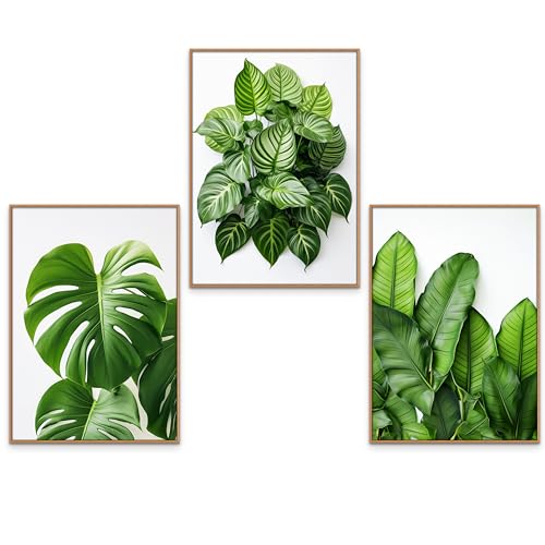 GrowArt - 3er-Poster mit einer Komposition aus grünen Blättern im A3-Format ohne Rahmen | hochwertiger Fotodruck | außergewöhnliche Wanddekoration für Naturliebhaber | Muster nur bei uns erhältlich | von GrowArt