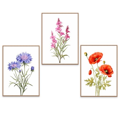 GrowArt - 3er-Poster mit Blumen auf weißem Hintergrund im A3-Format ohne Rahmen | hochwertiger Fotodruck | außergewöhnliche Wanddekoration für Blumenliebhaber | Motive nur bei uns erhältlich | von GrowArt