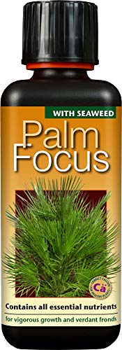 Flüssigdünger Konzentrat 100 ml Palm Focus Premium von Growth Technology Ltd