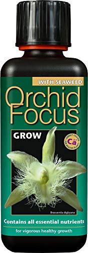 Growth Technology Orchid Fokus Wachsen 300 ml, schwarz, 5.5x5.5x16 cm, 05-210-175 von Growth Technology
