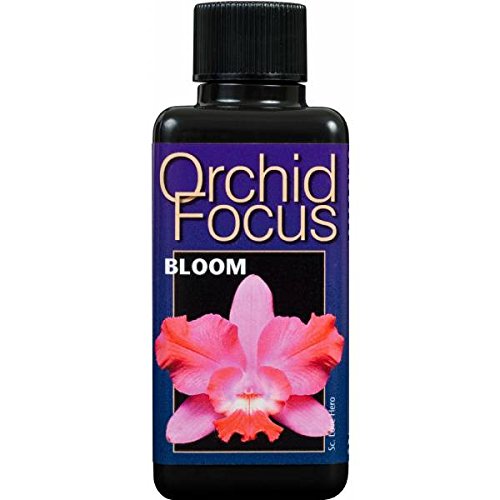 Growth Technology Orchid Focus Bloom - Orchidendünger 1L von Growth Technology