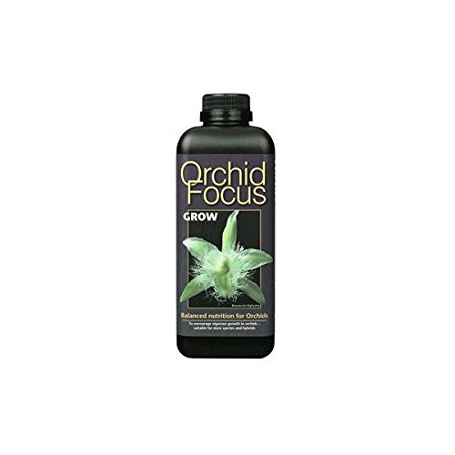 Orchid Focus Grow - Growth Technology 100ml Orchid Focus Grow - Growth Technology 100ml von Growth Technology