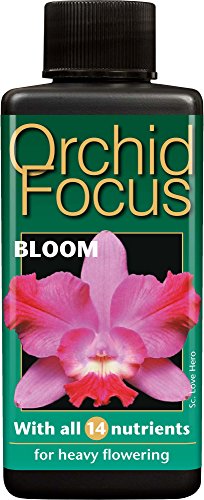 Orchid Focus Orchideendünger "Bloom" 100 ml von Growth Technology