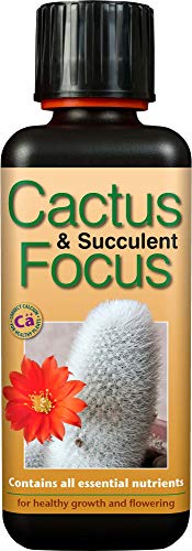 Sukkulente/Kaktus, Focus, 300 ml von Growth Technology