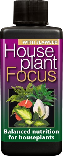 Zimmerpflanze Focus ausgewogene Liquid Konzentrierte Dünger 100 ml von Growth Technology