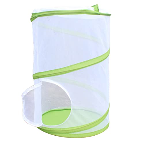Insektenlebensraum Käfig Insekten Caterpillar House Net Terrarium Mesh Cage mit Reißverschlussschutz l Caterpillar House Insektenlebensraum Käfig Insekten Caterpillar House Net Terrarium Mesh Cage mit Reißverschlussschutz l Caterpillar House von Grtheenumb